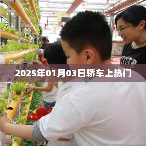 轿车话题大热,2025年趋势展望