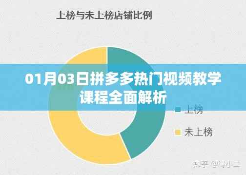 拼多多热门视频教学课程深度解析