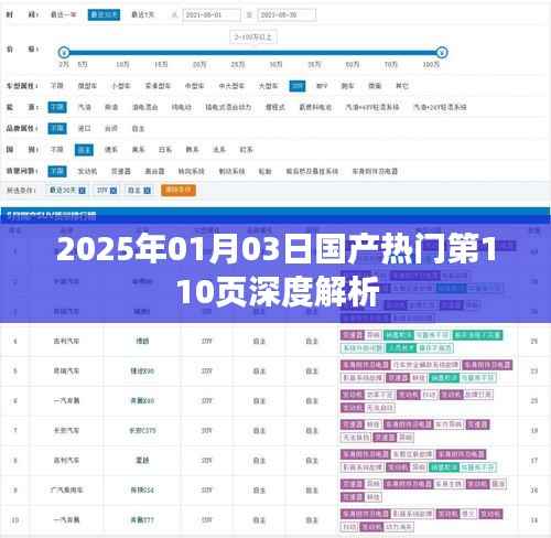 国产热门网站第110页深度解析,2025年展望,符合您的字数要求,同时能够清晰地表达文章的核心内容,希望符合您的需求。