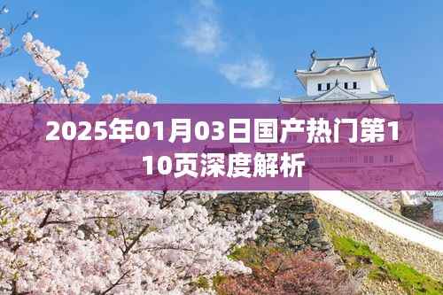 国产热门网站第110页深度解析,2025年展望,符合您的字数要求,同时能够清晰地表达文章的核心内容,希望符合您的需求。