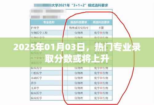 关于热门专业录取分数预测,预计于2025年上升