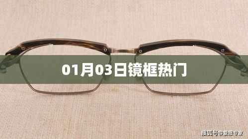 镜框热门趋势揭秘,时尚潮流风向标(日期,01月03日)