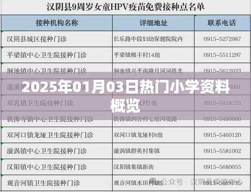 2025年1月热门小学资料概览与趋势分析