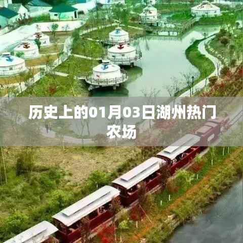 湖州热门农场历史揭秘,一月三日的重要时刻
