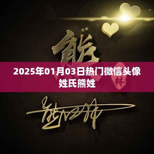 『熊姓微信头像热门推荐 2025年精选』