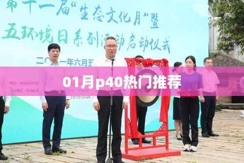 最新热门推荐,华为P40手机一月精选