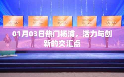 杨浦风采,活力与创新交汇,01月03日热点一览