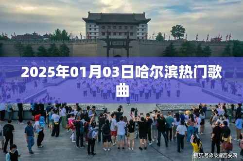 哈尔滨热门歌曲榜单(2025年)