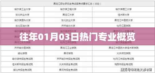 历年热门专业概览,聚焦一月三日盛况。