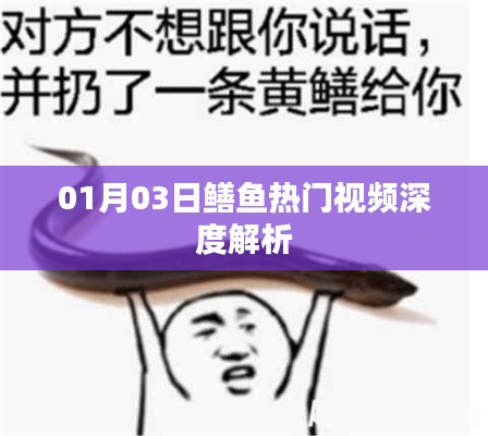 鳝鱼热门视频解析,深度解读,洞悉热点