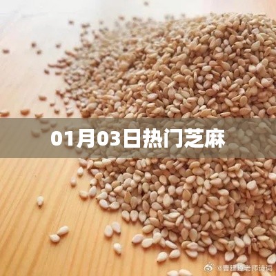 最新热门芝麻资讯,芝麻动态一网打尽