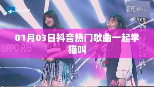 『抖音热歌，一起学猫叫，萌音来袭』