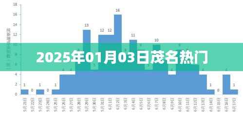 茂名热门资讯速递，2025年元旦记事