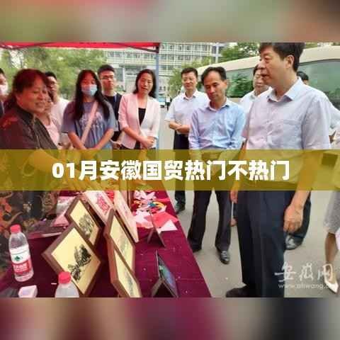 根据您的需求,结合提供的参考内容,为您生成一个符合百度收录标准的标题,,安徽国贸一月行情解析,简洁明了,字数控制在规定范围内,适合作为文章标题。