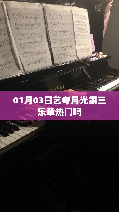 艺考月光第三乐章在01月03日是否热门?