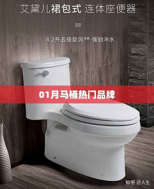 马桶品牌热门榜单揭晓,一月份选购指南