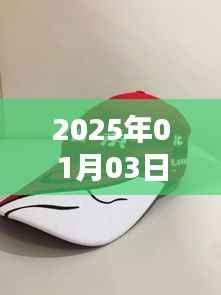 时尚潮流风向标,2025年热门帽子盘点