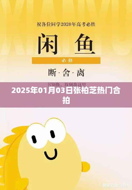 张柏芝最新合拍电影，2025年大片亮相！