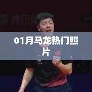 马龙热门照片大放送,不容错过!