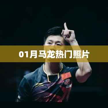 马龙热门照片大放送,不容错过!
