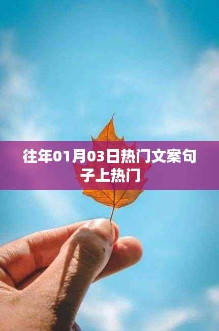 热门文案句子盘点，历年一月初三火爆文案回顾