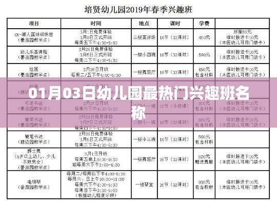 幼儿园最热门兴趣班名称揭秘,01月03日盘点