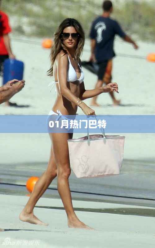 最新热门巴特动态来袭!