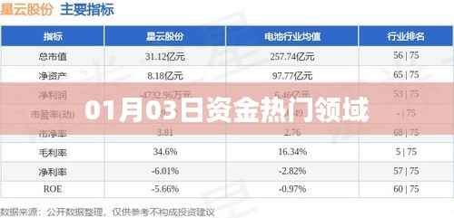 热门资金流向领域动态解析
