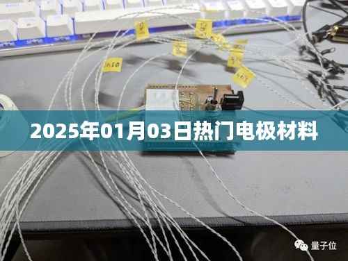 建议,电极材料热门趋势展望,未来在2025年。