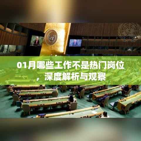 深度解析,一月份冷门岗位观察与解析