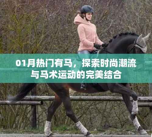 时尚潮流与马术运动完美融合，一月热门话题解析