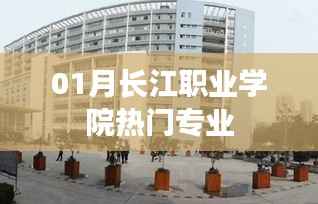 长江职业学院一月热门专业解析