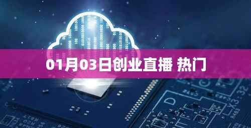 01月03日创业直播,揭秘热门商机
