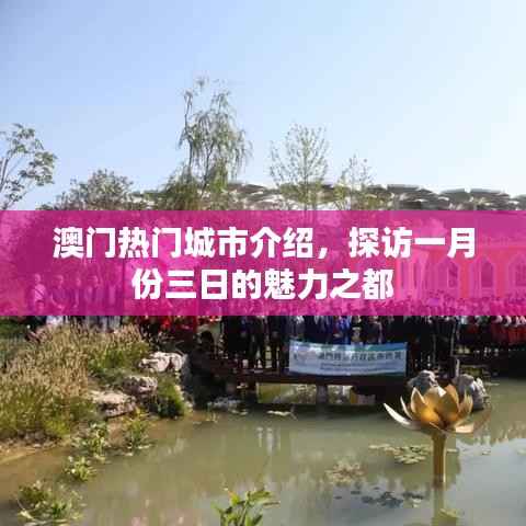 澳门一月份三日游,揭秘魅力之都的热门景点