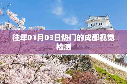 成都视觉检测热门回顾,历年一月初的盛况