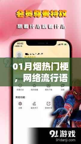 网络流行语魅力揭秘,一月烟热门梗全解析