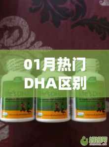 01月热门DHA差异解析