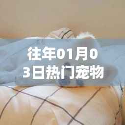 热门宠物微信表情包头像精选(日期回顾)