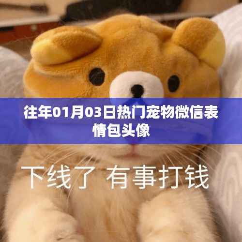 热门宠物微信表情包头像精选(日期回顾)