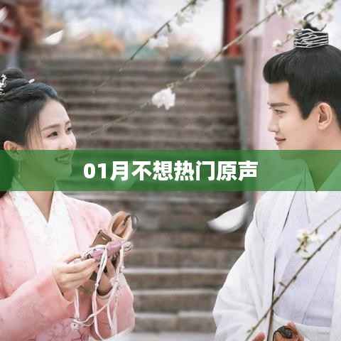 01月独家揭秘,不想热门的背后故事