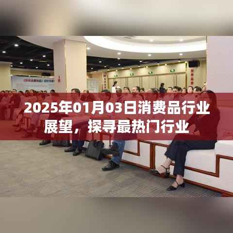 消费品行业趋势展望,探寻热门行业机遇(2025年展望)