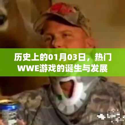 热门WWE游戏的诞生与发展,历史回顾与影响分析