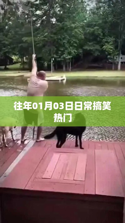 『日常搞笑热门盘点,欢乐不断』