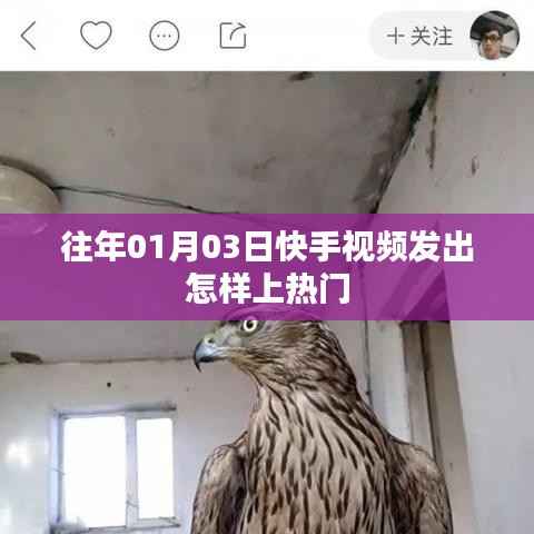 快手视频上热门攻略,时间、策略全解析