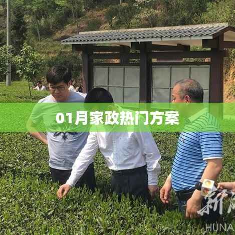 家政热门方案精选,新年新气象