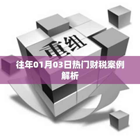 财税案例解析,历年热门案例回顾